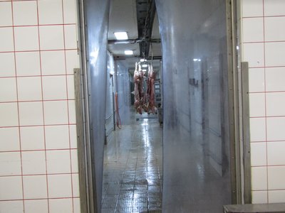 IMG_0093.JPG