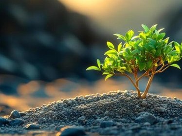 resilience